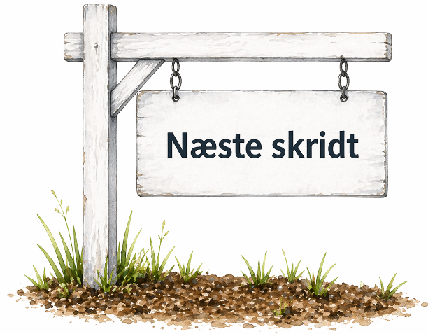 Næste skridt vurdering